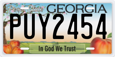 GA license plate PUY2454