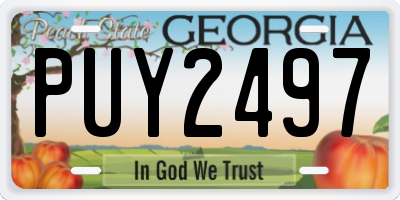 GA license plate PUY2497