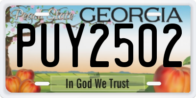 GA license plate PUY2502