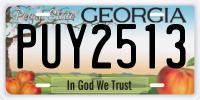 GA license plate PUY2513