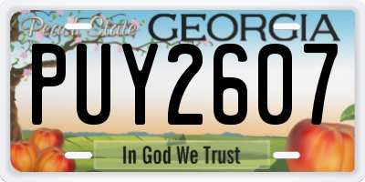 GA license plate PUY2607