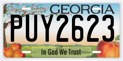 GA license plate PUY2623