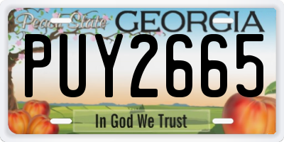 GA license plate PUY2665
