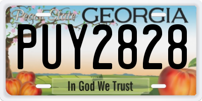 GA license plate PUY2828