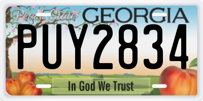 GA license plate PUY2834