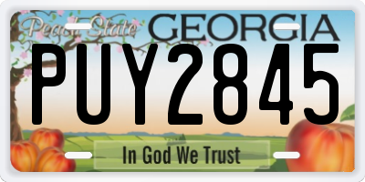 GA license plate PUY2845