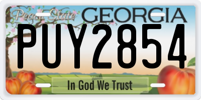 GA license plate PUY2854