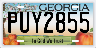 GA license plate PUY2855