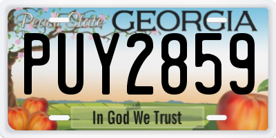 GA license plate PUY2859