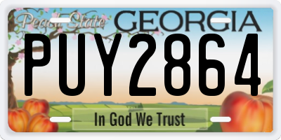 GA license plate PUY2864