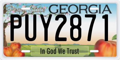 GA license plate PUY2871