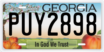 GA license plate PUY2898
