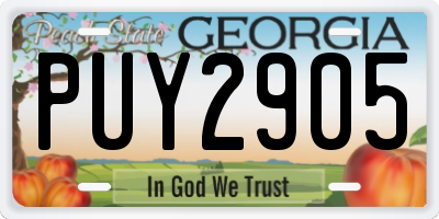 GA license plate PUY2905