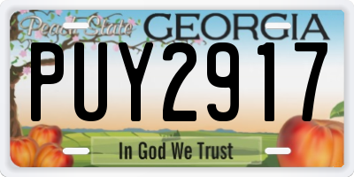 GA license plate PUY2917