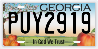 GA license plate PUY2919
