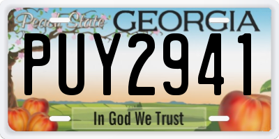 GA license plate PUY2941