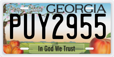 GA license plate PUY2955