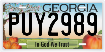 GA license plate PUY2989