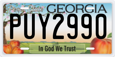 GA license plate PUY2990