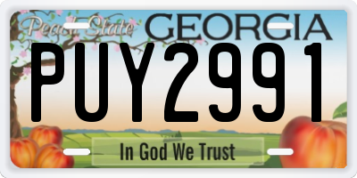 GA license plate PUY2991