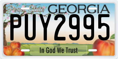 GA license plate PUY2995