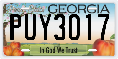 GA license plate PUY3017