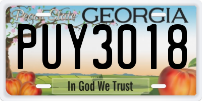 GA license plate PUY3018