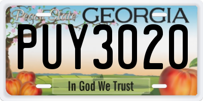 GA license plate PUY3020