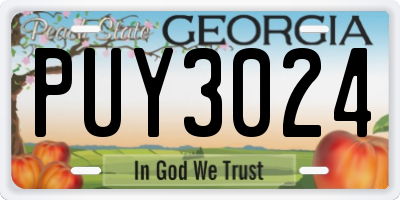 GA license plate PUY3024