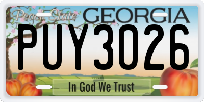 GA license plate PUY3026