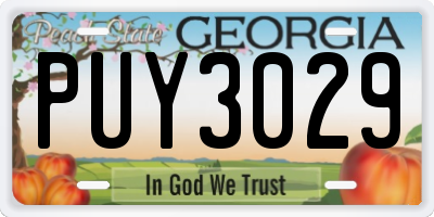 GA license plate PUY3029