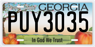 GA license plate PUY3035