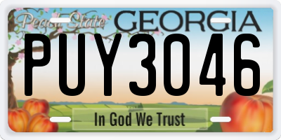 GA license plate PUY3046