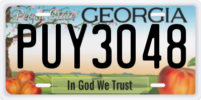 GA license plate PUY3048