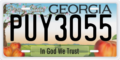 GA license plate PUY3055