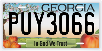 GA license plate PUY3066