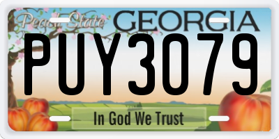 GA license plate PUY3079