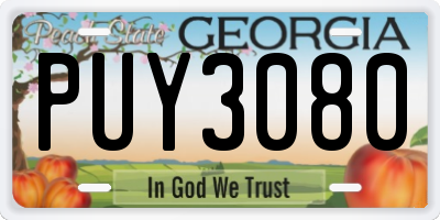 GA license plate PUY3080