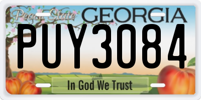 GA license plate PUY3084