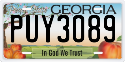 GA license plate PUY3089