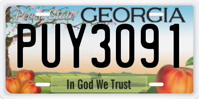GA license plate PUY3091