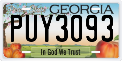 GA license plate PUY3093