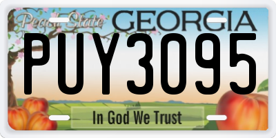 GA license plate PUY3095