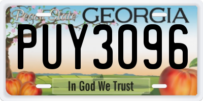 GA license plate PUY3096