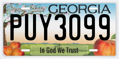 GA license plate PUY3099