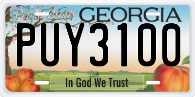 GA license plate PUY3100