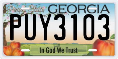 GA license plate PUY3103