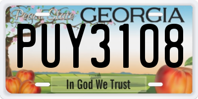 GA license plate PUY3108