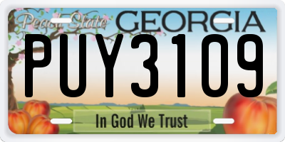 GA license plate PUY3109