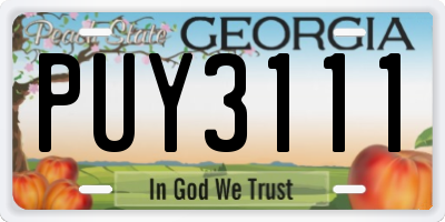 GA license plate PUY3111